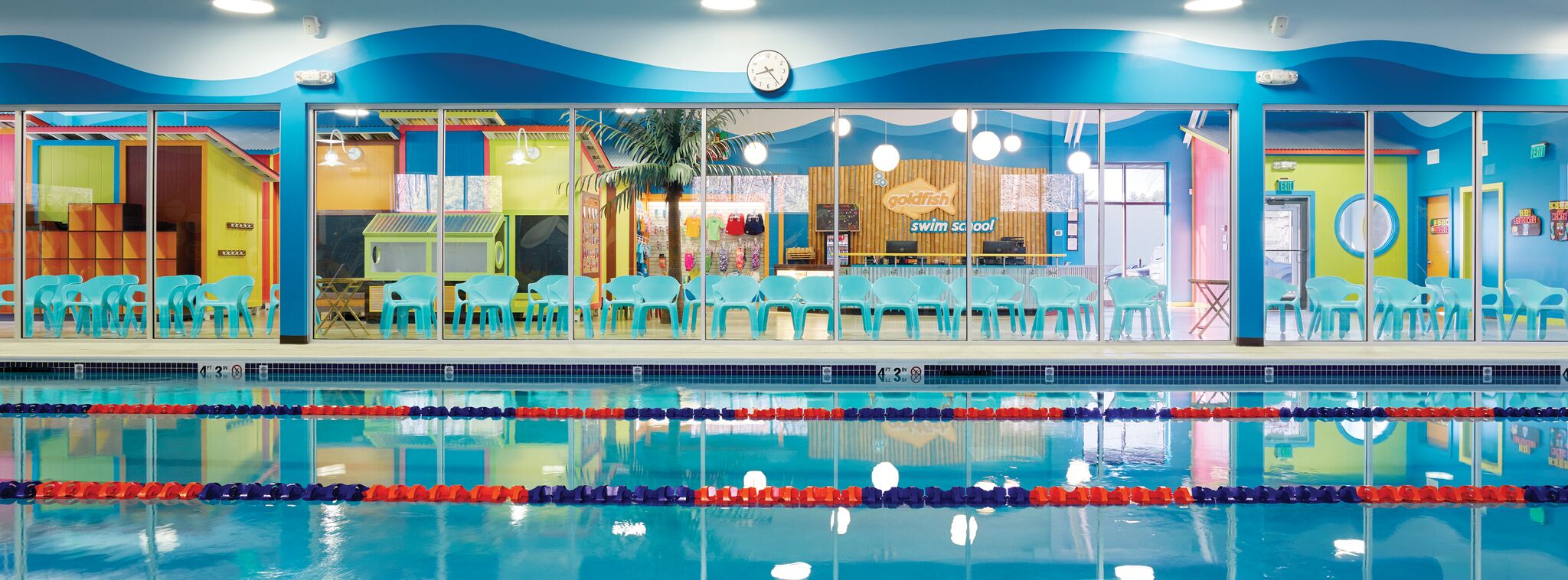 Goldfish Swim School